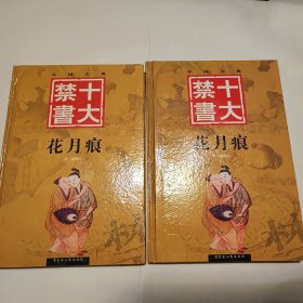 十大禁书 花月痕(上下)