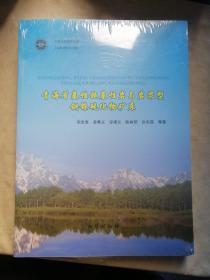 包邮 青海省基性超基性岩与岩浆型铜镍硫化物矿床