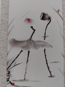 画中画-荷恋