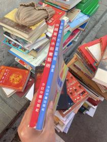 中国当代水彩画艺术续集  2本