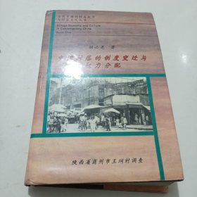 中国村落的制度变迁与权力分配:陕西省商州市王〓村调查