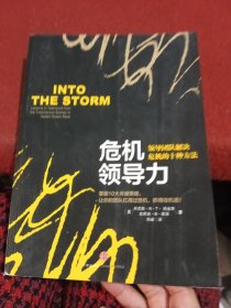 危机领导力：领导团队解决危机的十种方法