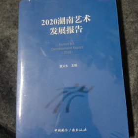 2020湖南艺术发展报告