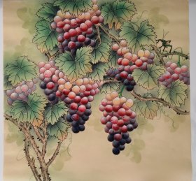 葡萄，工笔画法，真人真迹纯手绘作品，假一赔万，终身保真，您放心入手，陕西省美协张妮老师原创大作，实际画的比照片拍出来要漂亮的多，葡萄的刻画入木三分，画的非常细，葡萄，水滴很有意境，写意画看整个构图，非常棒。尺寸70×70公分，四尺斗方的，家里客厅，沙发背景墙，卧室，书房，玄关，茶室，办公室，大厅，餐厅都可悬挂，朋友结婚，新房乔迁，家有喜事，过节送礼再好不过了，葡萄寓意多子多福，富贵满堂。