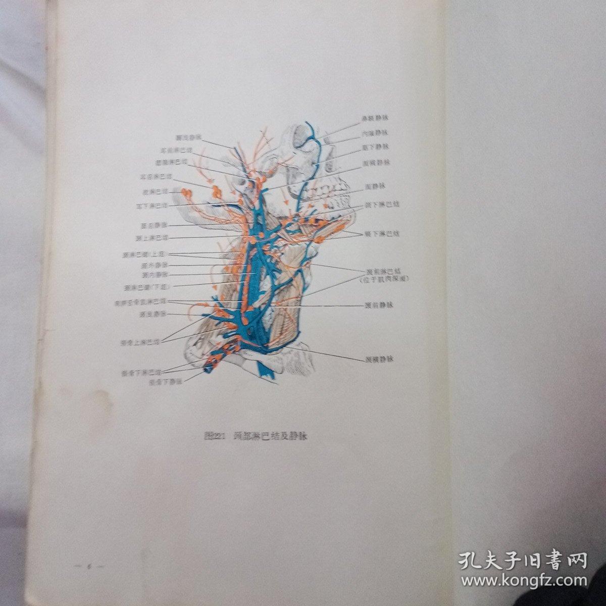 口腔颌面外科手术学