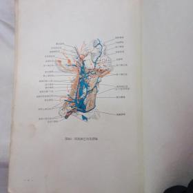 口腔颌面外科手术学