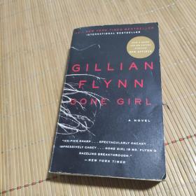 Gone Girl: A Novel消失的爱人 英文原版