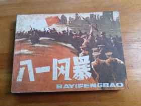 八一风暴