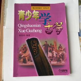 “青少年学音乐”系列丛书：青少年学古筝