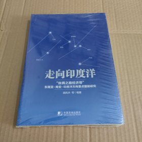 走向印度洋：“丝绸之路经济带”东南亚-南亚-印度洋方向重点国别研究