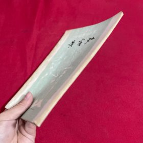 中国画家丛书 黄宾虹
