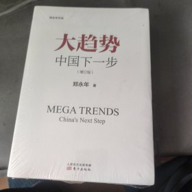 大趋势 中国下一步