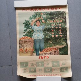 1975年年历画/山东省食品分公司