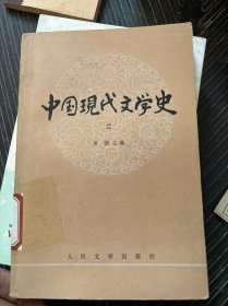 中国现代文学史（二）