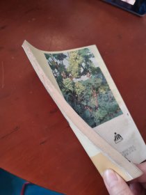 盆栽葡萄与庭院葡萄