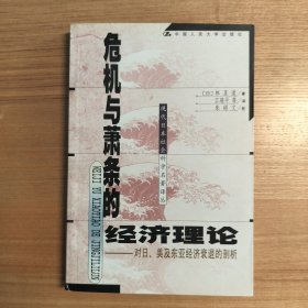 危机与萧条的经济理论：对日、美及东亚经济衰退的剖析——现代日本社会科学名著译丛