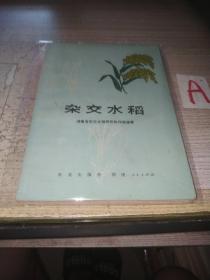 杂交水稻（修订重版）毛主席语录