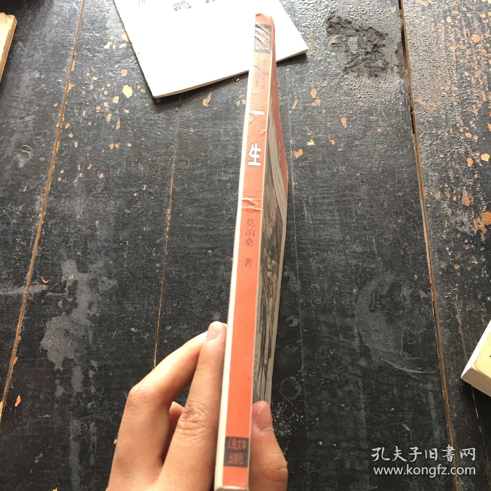 一生