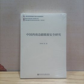 中国西南边疆能源安全研究