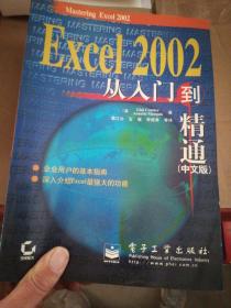 Excel 2002从入门到精通，书口有点脏