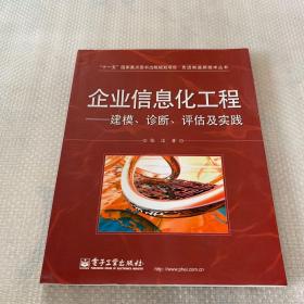 企业信息化工程：建模、诊断、评估及实践