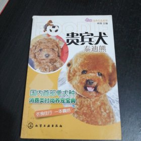 宠尚生活系列：贵宾犬（泰迪熊）