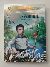 彩绘小英雄雨来