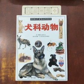 目击者丛书 犬科动物