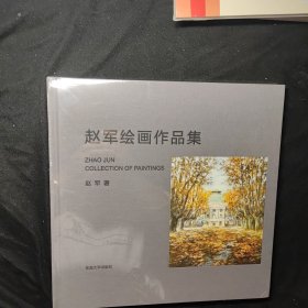 赵军绘画作品集 全新未拆封