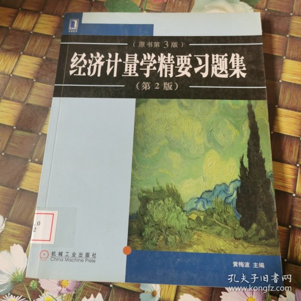 经济计量学精要习题集