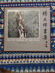 杨杰辉画集（杨杰辉毛笔签赠本）