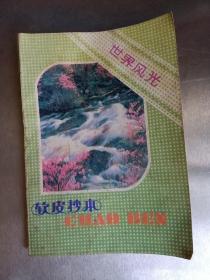 90年代粤菜烹饪用料与份量 手抄本