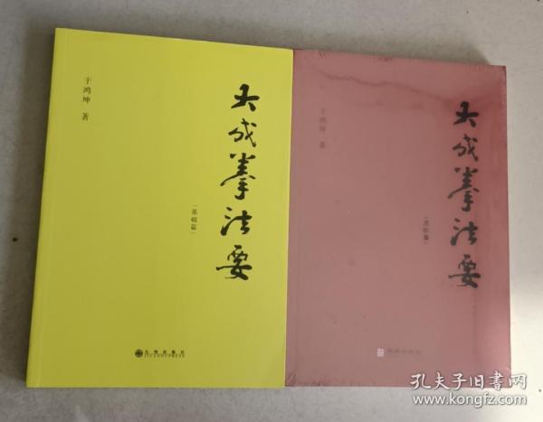 大成拳法要 基础篇 进阶篇 二册