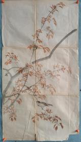 ♥【723】清代时期，花鸟图，纸本画稿，尺寸83✘45。