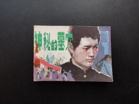 神秘的墓穴连环画
