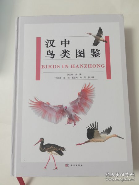 汉中鸟类图鉴