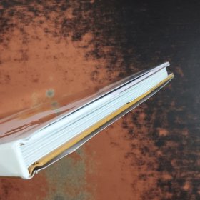 狮心绘意/中新儿童文学原创作品