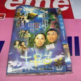 十兄弟 4碟  DVD