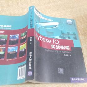 SAP企业信息化与最佳实践丛书：Sybase IQ 实战指南