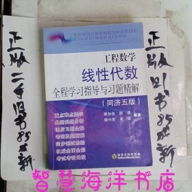 工程数学线性代数全程学习指导与习题精解（同济5版）