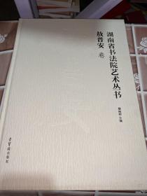 湖南省书法院艺术丛书 敖普安卷