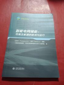 智能电网储能：可再生能源的规划与运行