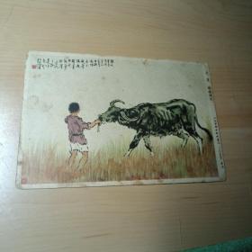 老画片–牧童（1955年北京，人民美术出版社）