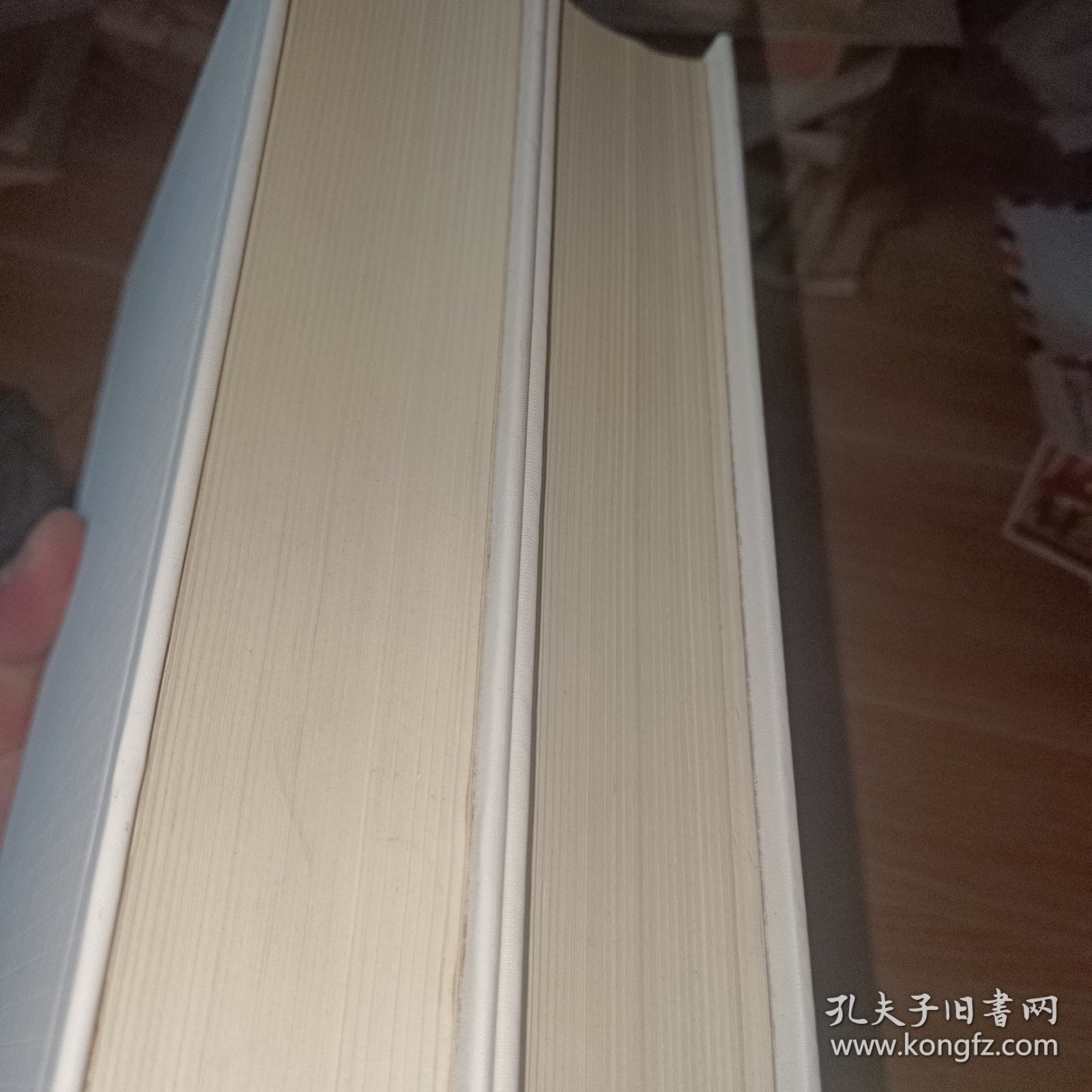 金瓶梅續書三種上下 无书皮