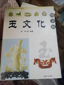 中华传统文化书系：玉文化图文版