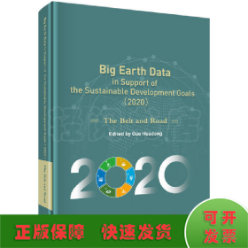 地球大数据支撑可持续发展目标报告（2020)：“一带一路”篇（英文版）