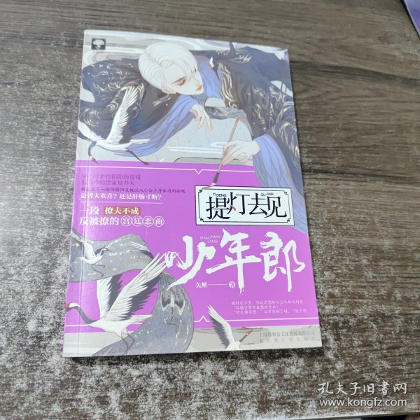 提灯去见少年郎