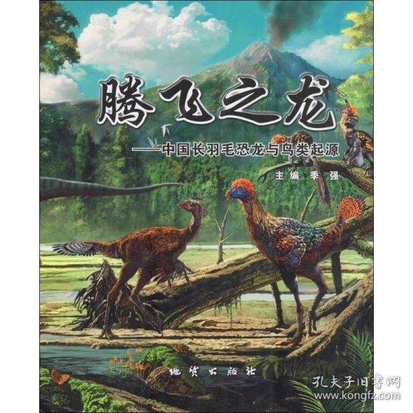 腾飞之龙：中国长羽毛恐龙与鸟类起源
