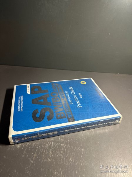 SAP BW/BO实战指南：像学习Office一样学习BW/BO