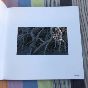 形行摄色 : 林奋强摄影作品集